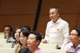 ĐBQH: Cơ sở y tế khang trang mà không có bệnh nhân gây lãng phí rất lớn