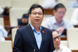 ĐBQH đề nghị rà soát quy định về xử lý hình sự Ban Quản trị nhà chung cư