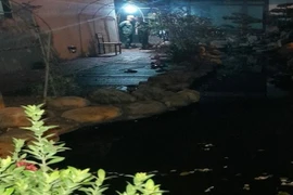 Hàng loạt vụ trẻ chết đuối trong hồ cá Koi: Làm sao để hạn chế rủi ro?