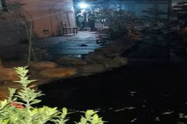 Hàng loạt vụ trẻ chết đuối trong hồ cá Koi: Làm sao để hạn chế rủi ro?