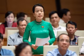 ĐBQH: Liệu có vụ tương tự Việt Á trong chính ngành giáo dục?