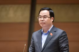 ĐBQH: Lỗ hổng pháp lý lớn nhất là xác định vốn thực có của người tham gia đấu giá đất