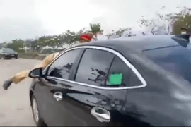 Sau các vụ hất Cảnh sát giao thông lên nắp capo: Cần tăng thêm quyền cho lực lượng làm nhiệm vụ