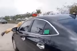 Sau các vụ hất Cảnh sát giao thông lên nắp capo: Cần tăng thêm quyền cho lực lượng làm nhiệm vụ