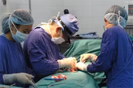 Mỗi người chỉ được chuyển giới 1 lần, được thay đổi thông tin giới tính trên thẻ căn cước?