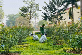 Người chấp hành xong án phạt tù sẽ được vay tới 100 triệu đồng để kinh doanh?