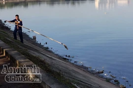 Cá chết ở hồ Linh Đàm: Không loại trừ lý do thời tiết