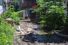 4 năm bức xúc con đường “lợn lành thành lợn què”