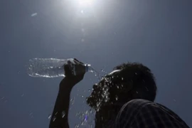 135 người Ấn Độ thiệt mạng vì nắng nóng