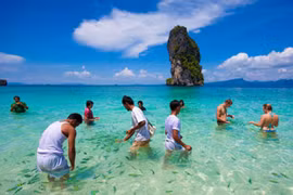 Vẫn nóng tour giờ chót