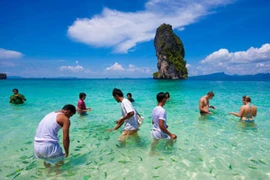 Vẫn nóng tour giờ chót