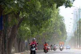 Dự án mở rộng đường Phạm Văn Đồng: Cân nhắc kỹ lưỡng việc di dời, chặt hạ 1.300 cây xanh