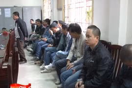 Triệt phá ổ nhóm đánh bạc dưới hình thức chọi gà