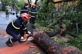Cảnh báo tai nạn thương vong do giông lốc mùa mưa bão 