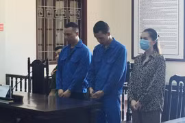 Tuyên án tù chung thân 'nữ quái' cầm đầu đường dây vận chuyển trái phép chất ma túy