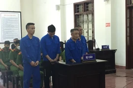 Cất giấu hơn 11 kg ma túy, nhóm đối tượng phạm tội bị kết án tử hình 