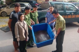 Xử lý đối tượng buôn bán cá thể rùa quý hiếm nặng 22kg