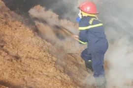 Dập tắt đám cháy xưởng sản xuất ván bóc 