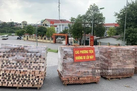 Bảo vệ vùng xanh nhưng phải đảm bảo lối đi cho xe chữa cháy 