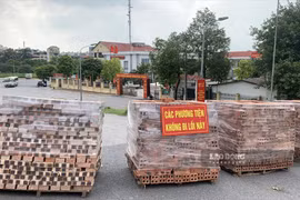 Bảo vệ vùng xanh nhưng phải đảm bảo lối đi cho xe chữa cháy 