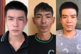 Bắt nhóm đối tượng đột nhập cửa hàng trộm cắp 4 xe máy 