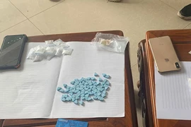 Bắt đối tượng “ship” hoa quả cất giấu ma tuý tinh vi