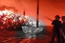 Xưởng chế biến gỗ trên đồi bốc cháy