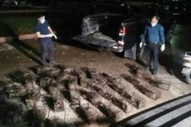 Xử phạt gần 600 triệu đồng 1 cá nhân vi phạm vận chuyển, mua bán 100 cá thể cầy vòi 