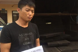 Dùng xe tải trộm cắp nắp cống trên đường cao tốc Bắc Giang - Lạng Sơn 