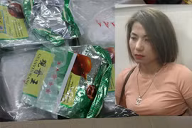 Biệt danh “Mèo và Chen” được “trùm” ma túy Hương "mẩu” đặt cho ai? 