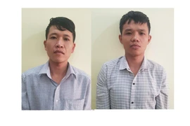 Bắt hai đối tượng truy nã vì cắt trộm cáp viễn thông