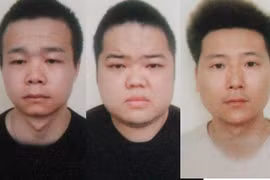 Tạm giữ hai đối tượng tổ chức cho nhóm người Trung Quốc lưu trú trái phép