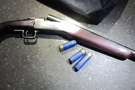 Tạm giam đối tượng cất giấu súng 'hoa cải' 