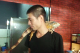 Uống café với… rắn, thằn lằn và nhện