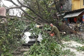 Thêm hình ảnh và clip “cụ” đa bật gốc đè bẹp xe ô tô