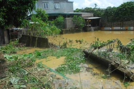 Mưa lũ gây thiệt hại hơn 2 tỷ đồng ở Điện Biên 