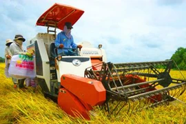 Giảm mạnh đói nghèo vùng nông thôn