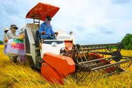 Giảm mạnh đói nghèo vùng nông thôn