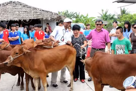 Món quà ý nghĩa với nhóm trẻ nghèo, khuyết tật