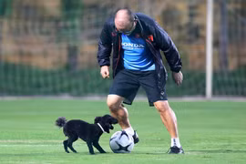 HLV Park gây sốt khi chơi bóng cùng "người bạn" đặc biệt