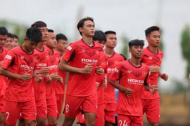 HLV Park tiếp tục gọi cầu thủ Việt kiều Pháp lên tuyển U22