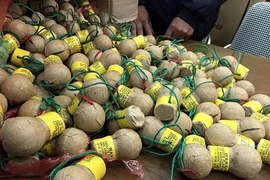 Phát hiện nhóm đối tượng vận chuyển trái phép pháo