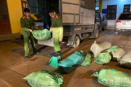 Phát hiện, thu giữ gần nửa tấn xúc xích không rõ nguồn gốc 