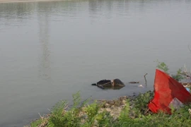 Công an huyện Thanh Trì truy tìm tung tích nạn nhân 