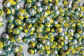 Vận động đối tượng giao nộp số lượng lớn pháo nổ 