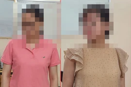 Khởi tố hai đối tượng về hành vi “đẻ thuê” 