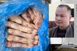 Phát hiện 5 tấn móng giò không rõ nguồn gốc