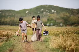 Phim của Victor Vũ tham gia liên hoan phim Cannes