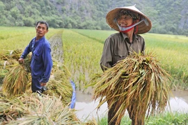 Vinh danh 63 nông dân làm giàu xuất sắc 2014