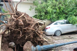 Không dự báo được giông lốc